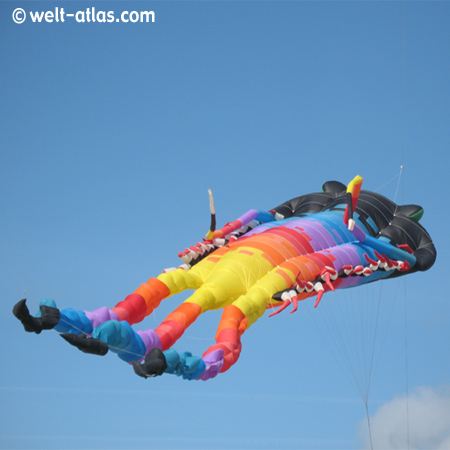 Kites in St. Peter-Ording, North Sea Germany