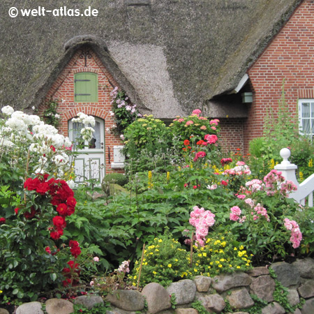 Cottage garden in St. Peter-Ording, Northern Friesland