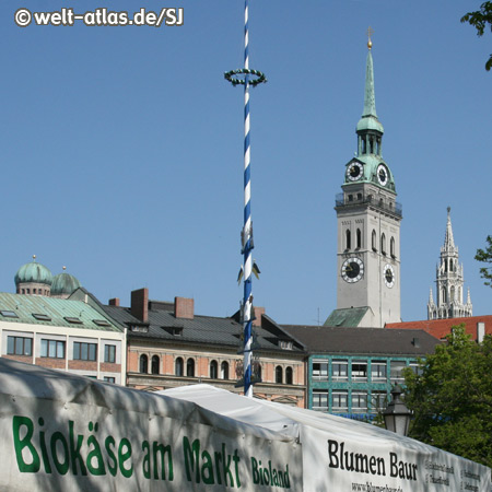 Viktualienmarkt mit Maibaum, im Hintergrund die Türme von Peterskirche und Neuem Rathaus