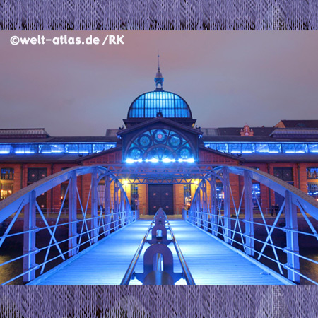 Fischauktionshalle in Hamburg-Altona,blaues Licht zu den Cruise Days, Baudenkmal, Fischmarkttrubel, Veranstaltungen