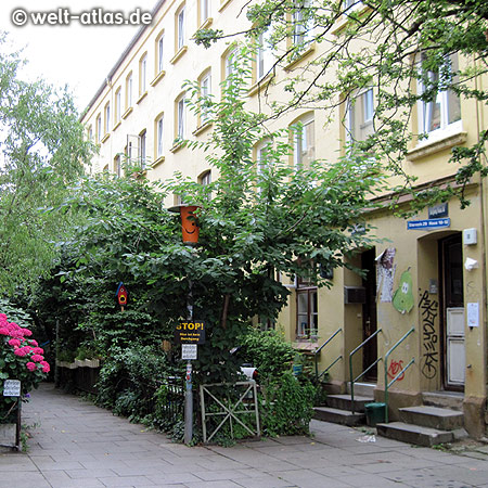 Liebevoll gepflegte Terrasse in der Sternstraße, Karoviertel