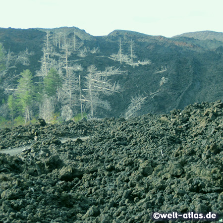 Lavafelder am Ätna bei Mareneve