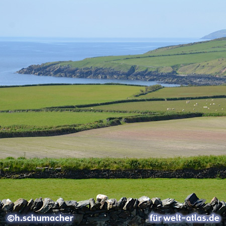 Gentle meadows and fields with stone walls on the Isle of man