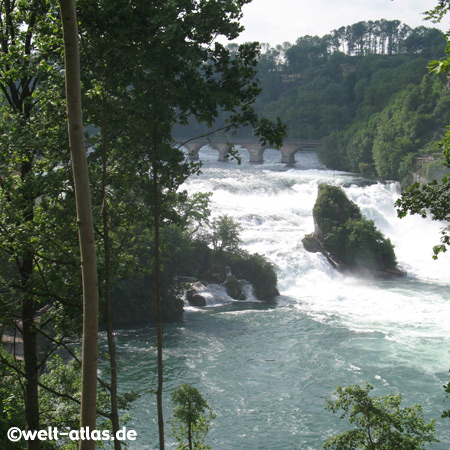 Rheinfall bei Schaffhausen, Schweizgrösster Wasserfall Europas