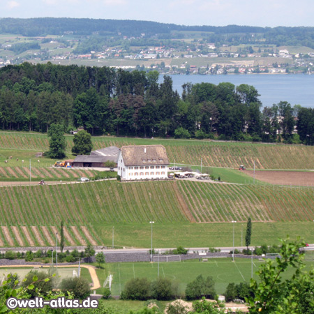 Pfäffikon, Zürichsee, Switzerland