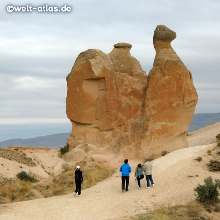 Camel Rock at Devrent Valley