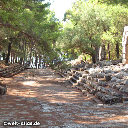 Ruins of Phaselis, forested peninsula with nice beaches to swim