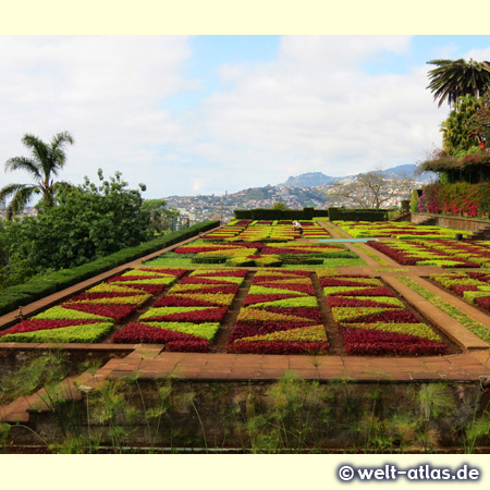 Formal Garden of Jardim Botânico above Funchal, Madeira Island