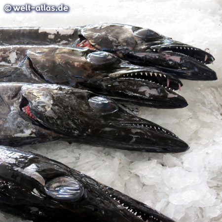 In der unteren Etage der Markthalle von Funchal werden Fisch und Meeresfrüchte angeboten, hier der beliebte Espada oder Degenfisch