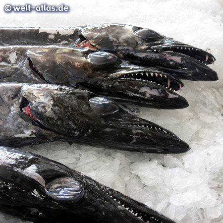 At the lower floor of the Market Hall of Funchal you can find fish and seafood, here the popular Espada or scabbard fish