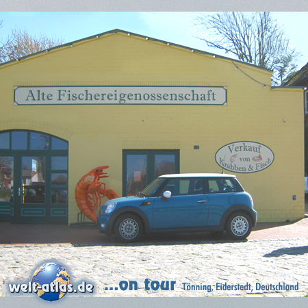 welt-atlas ON TOUR in Tönning.Krabben und Fisch in der "Alten Fischereigenossenschaft" am Hafen. Lecker Fisch,  Verkauf und essen neben dem Packhaus 