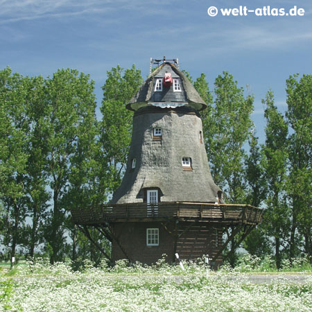 Mühle Fortuna auf der Halbinsel Eiderstedt