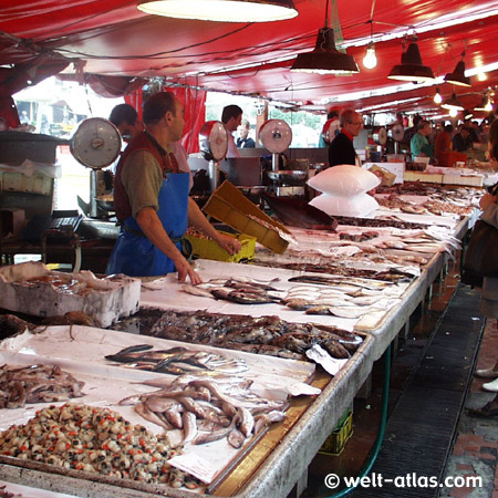 Fischmarkt in Chioggia, Venetien