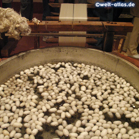 Washing the Silk Cocoons