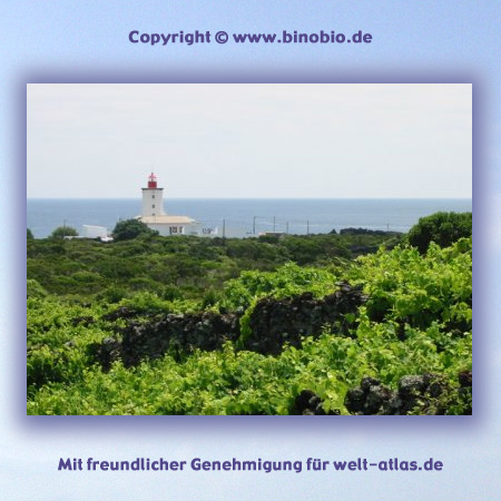 Leuchtturm Farol de Manhenha auf Pico, der zweitgrößten Insel der Azoren, Inselgruppe im Atlantischen Ozean. Urlaubsbericht: Wandern auf den Azoren von Hans van Gelderen unter:http://azoren.binobio.de/acores.htm