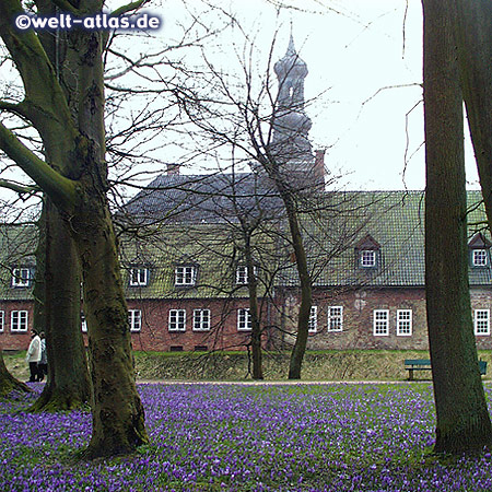 Schloss vor Husum, größte Krokusblüte in Nordeuropa im Husumer Schlosspark