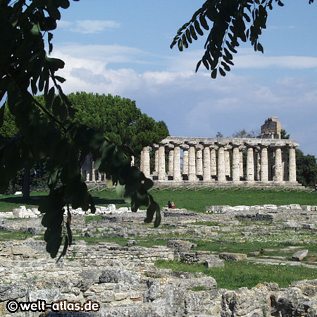 Temple of Paestum