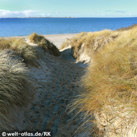 Dunes and view on island of Amrum, Schleswig-Holstein, Germany