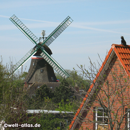 Engel-Mühle am Süderhafen auf Nordstrand, ehemalige Marschinsel nahe Husum, jetzt durch einen Damm zu erreichen