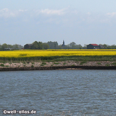 Landschaft auf Nordstrand, Nordfriesland 