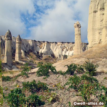 "Love Valley" Ask Vadisi, Kegel, Kamine und Türme aus Tuff in Kappadokien – UNESCO Welterbe Nationalpark Göreme und Felsendenkmäler von Kappadokien