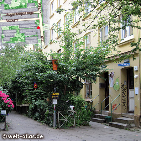 Lovingly tended terrace, Sternstraße, Karoviertel