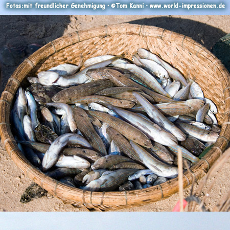 Fish in a basket at Phan Thiet MarketVietnam 