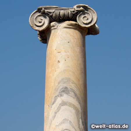 Perge, column with ionic capital