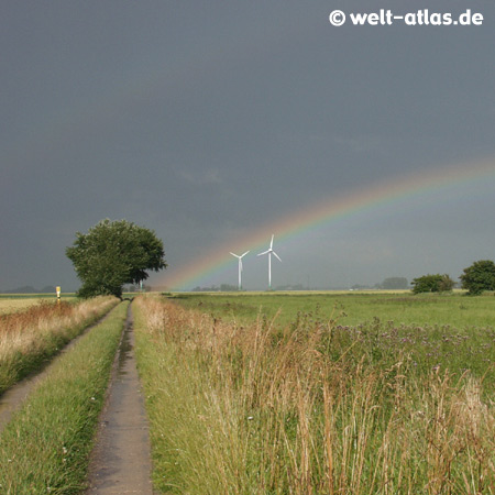 Landschaft mit Regenbogen, Feldern, Baum und Windrädern