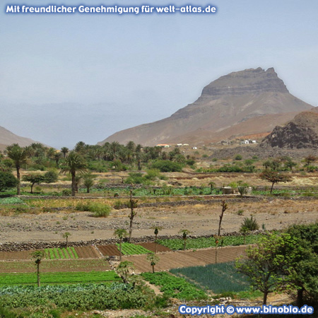 Landwirtschaft in Tal Ribeira do Calhau, dahinter der Berg Pico do Vento  – Fotos: Reisebericht Kapverden, kapverden.binobio.de