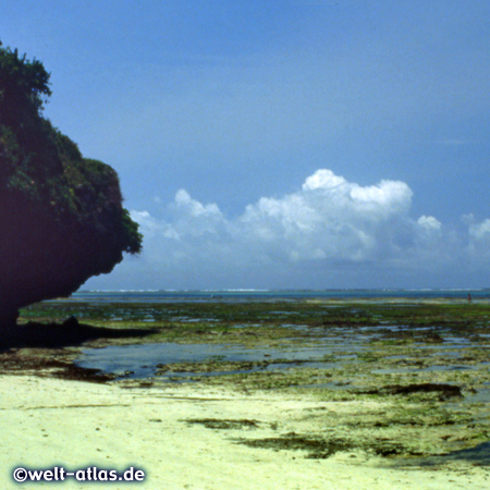 Watamu Beach near Malindi, Kenya