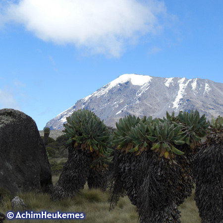 Mount Kilimanjaro, Tanzania - picture taken by Achim Heukemes, a German Ultra Runner