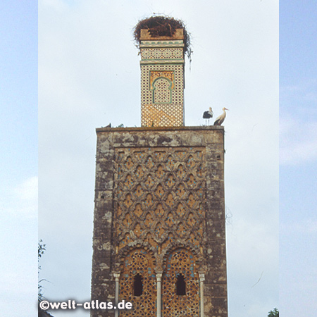 Störche auf dem Minarett der Meriniden-Nekropole Chellah, Rabat