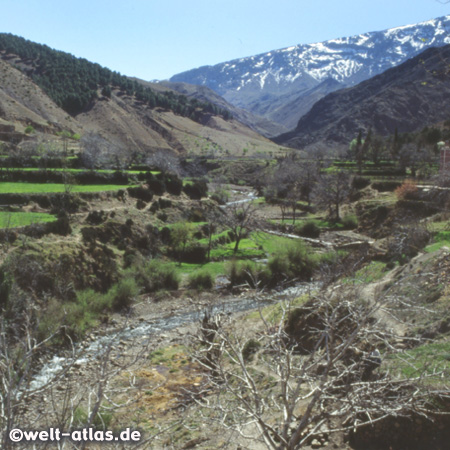 Grand Atlas Mountains, Dades Valley