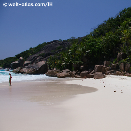 Beach, Seychelles Islands 