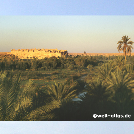Kasbah ruins of Ksar Meski and palms in Morocco