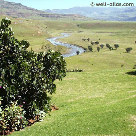 Blick vom Hlalanathi Drakensberg Resort