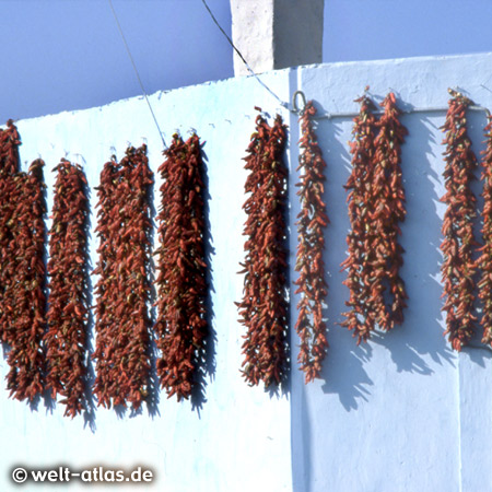 Rote Paprika hängen an den weißen Häusern zum Trocknen in der Sonne