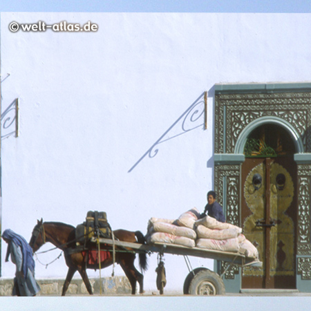 horse cart, Tunisia