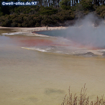 Rotorua, Neuseeland