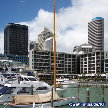 Harbour, Auckland