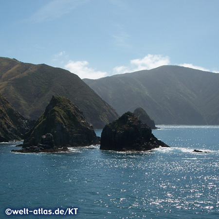 Queen Charlotte Sound, Meeresarm des Marlborough Sounds mit Mündung in die Cookstraße