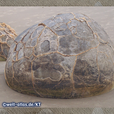 Moeraki Boulders am Koekohe Beach,Verdichtung von Kalkkristallen, geologische Attraktion, hauptsächlich bei Ebbe zu sehen