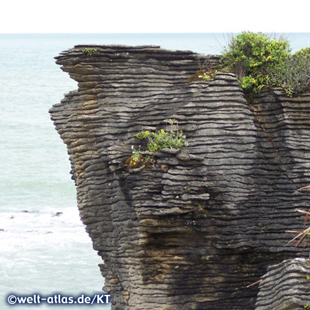 Pancake Rocks near Punakaiki