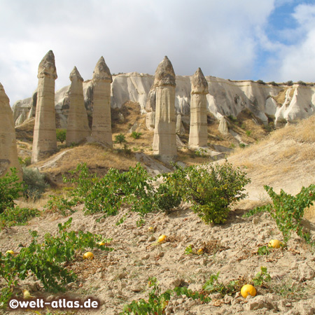 Love Valley, Ask Vadisi in Cappadocia with phallus-looking rocks