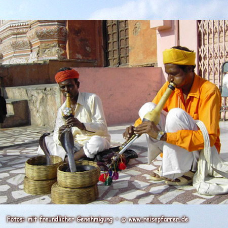Snake charmers with cobras in Jaipur, India, Foto:© www.reisepfarrer.de