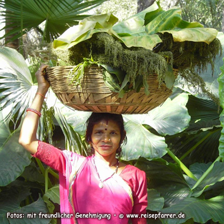 Junge Frau im Sahelion Ki Bari, Garten der Jungfrauen, Botanischer Garten/Park  in Udaipur 