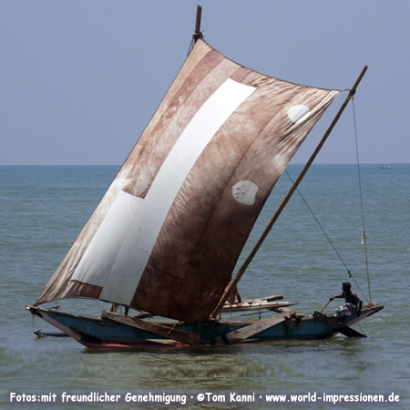 Garnelenfischer vor der Küste von Negombo, Sri Lanka