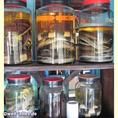 Eingelegte Schlangen und anders Getier im Shop der Pfefferplantage auf Phu Quoc, natürlich haben wir auch den aromatischen Pfeffer gekauft