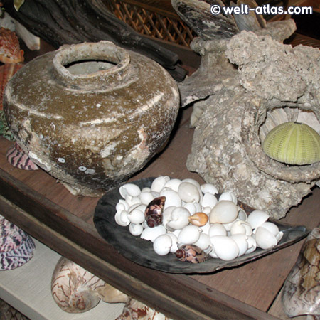 Shells museum, Nathon, Koh Samui, Thailand